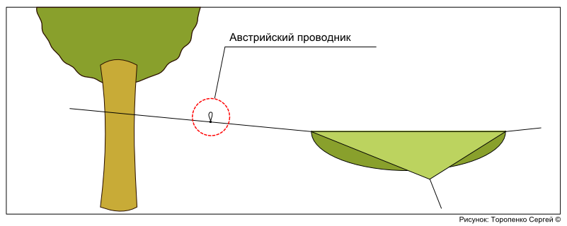 Схема: положение узла на верёвке