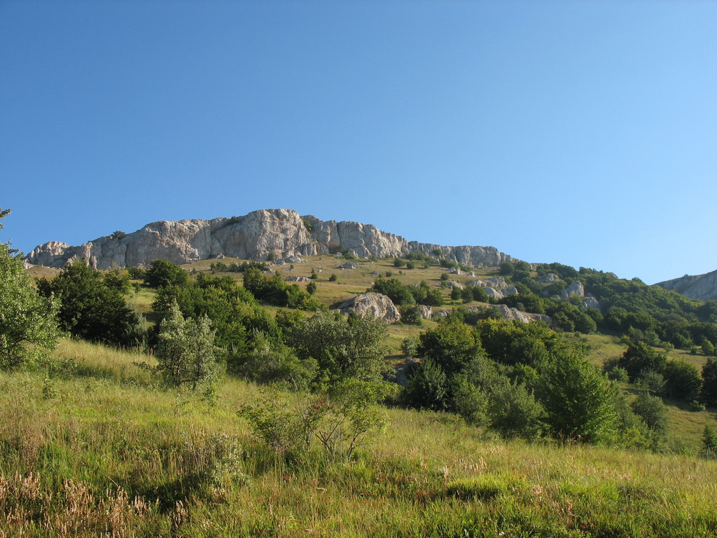Скалы