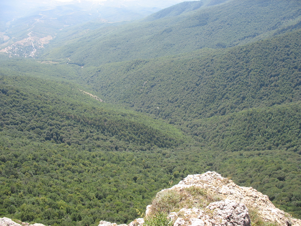 Но очень красиво