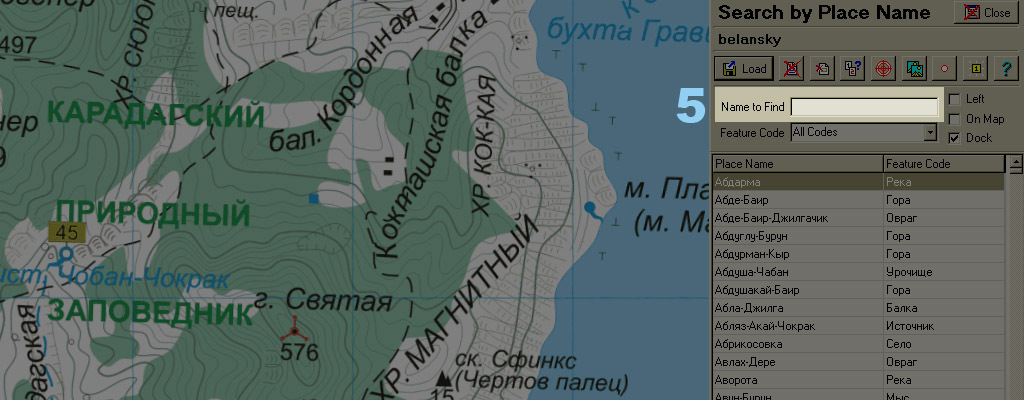 Ввод искомого топонима