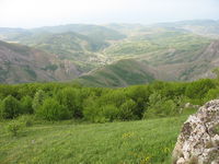Арпат