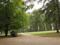 Лужайка