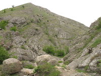 Много камня