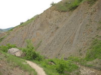В урочище